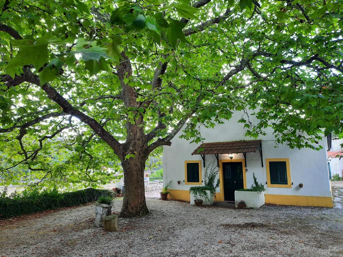 Montejunto Villas - Casa Do Platano Cadaval Kültér fotó