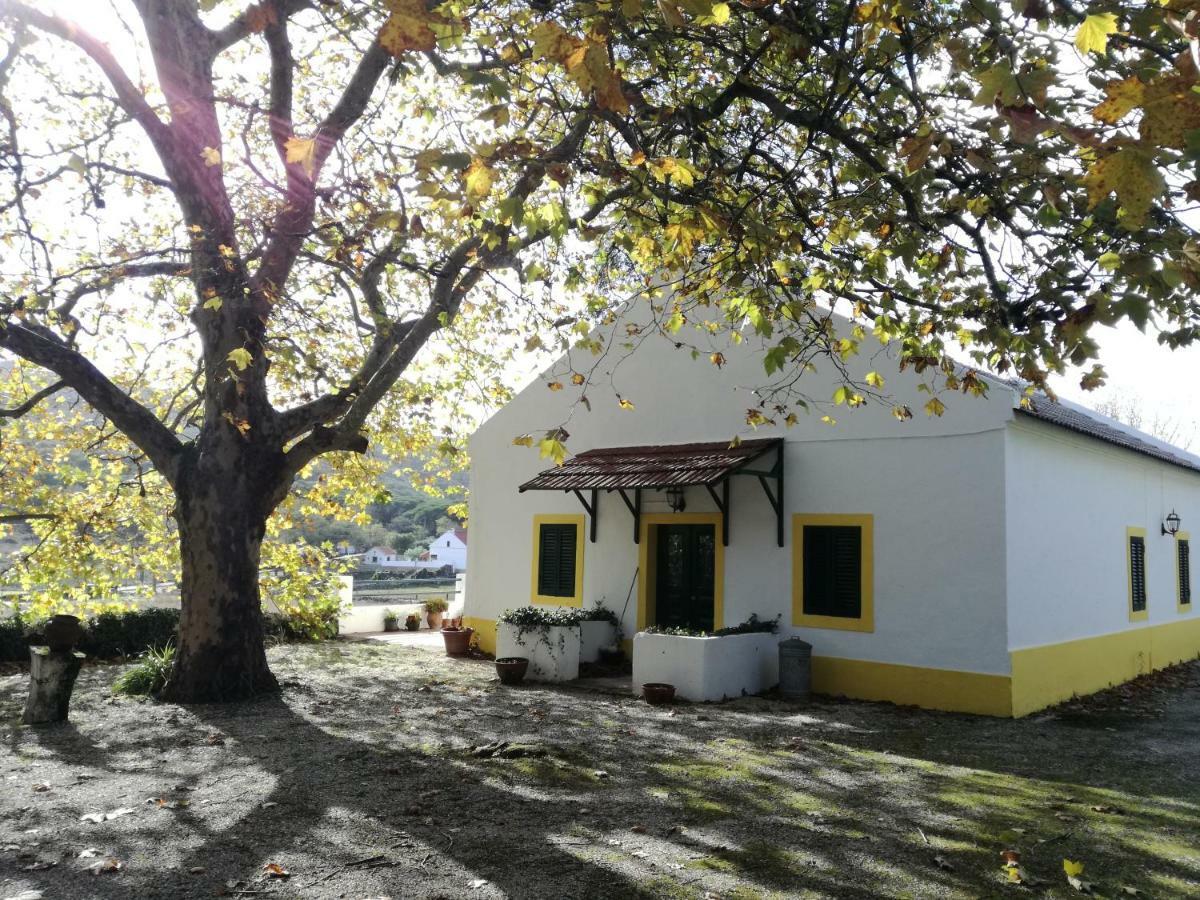 Montejunto Villas - Casa Do Platano Cadaval Kültér fotó