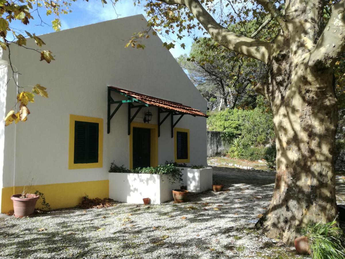Montejunto Villas - Casa Do Platano Cadaval Kültér fotó