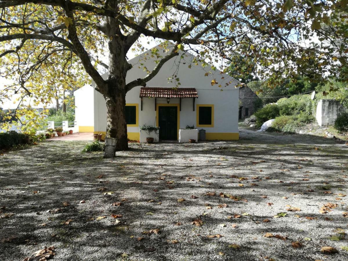Montejunto Villas - Casa Do Platano Cadaval Kültér fotó