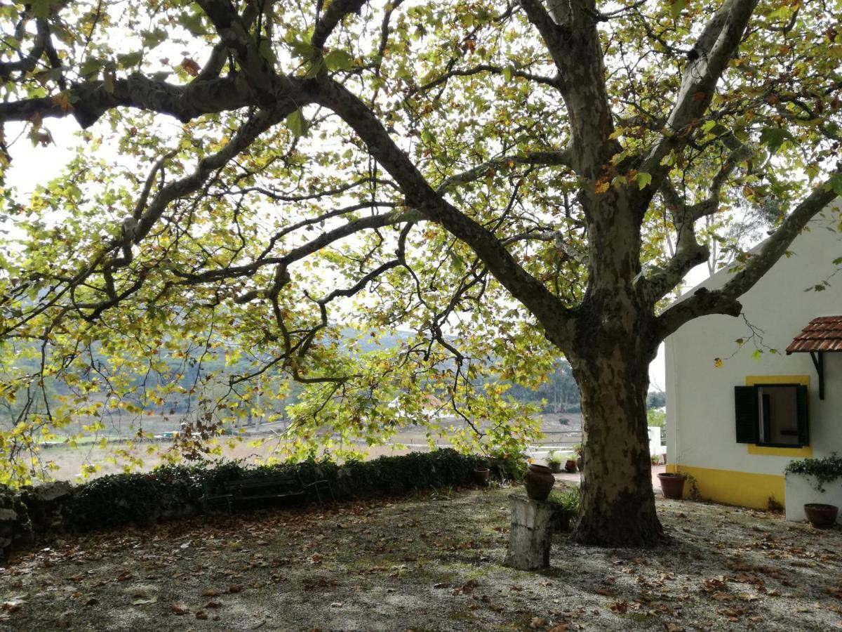 Montejunto Villas - Casa Do Platano Cadaval Kültér fotó
