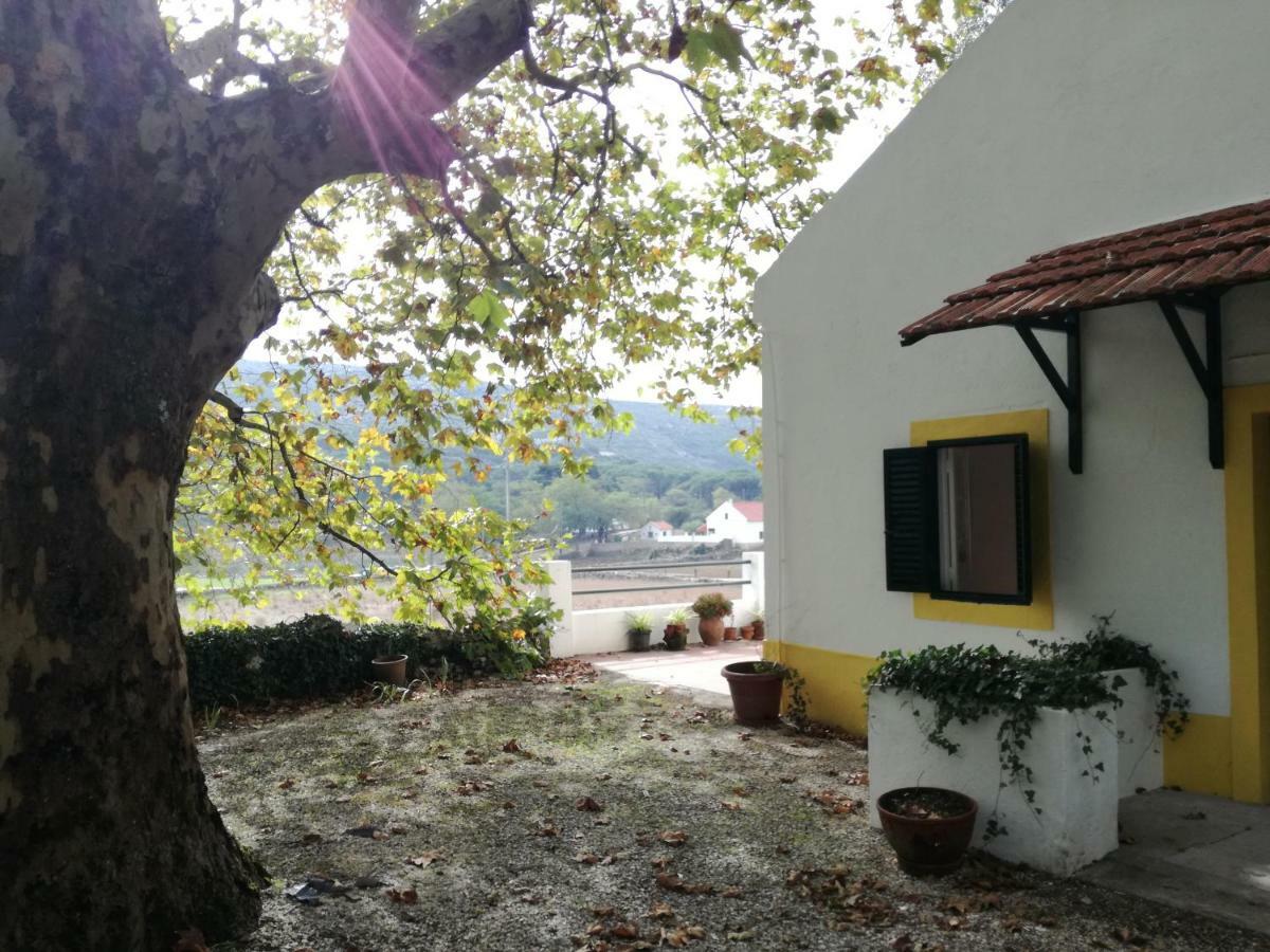 Montejunto Villas - Casa Do Platano Cadaval Kültér fotó